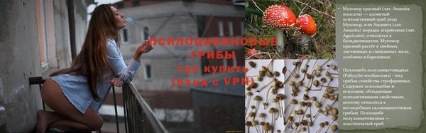 прущая мука Карпинск